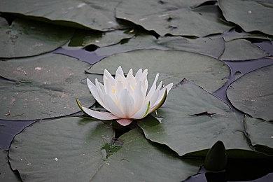 超现实沉浸式游戏《警目如炬》亮相未来游戏展 全新试玩今日上线Steam